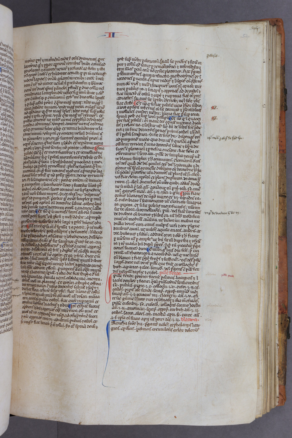 Folio 54 recto